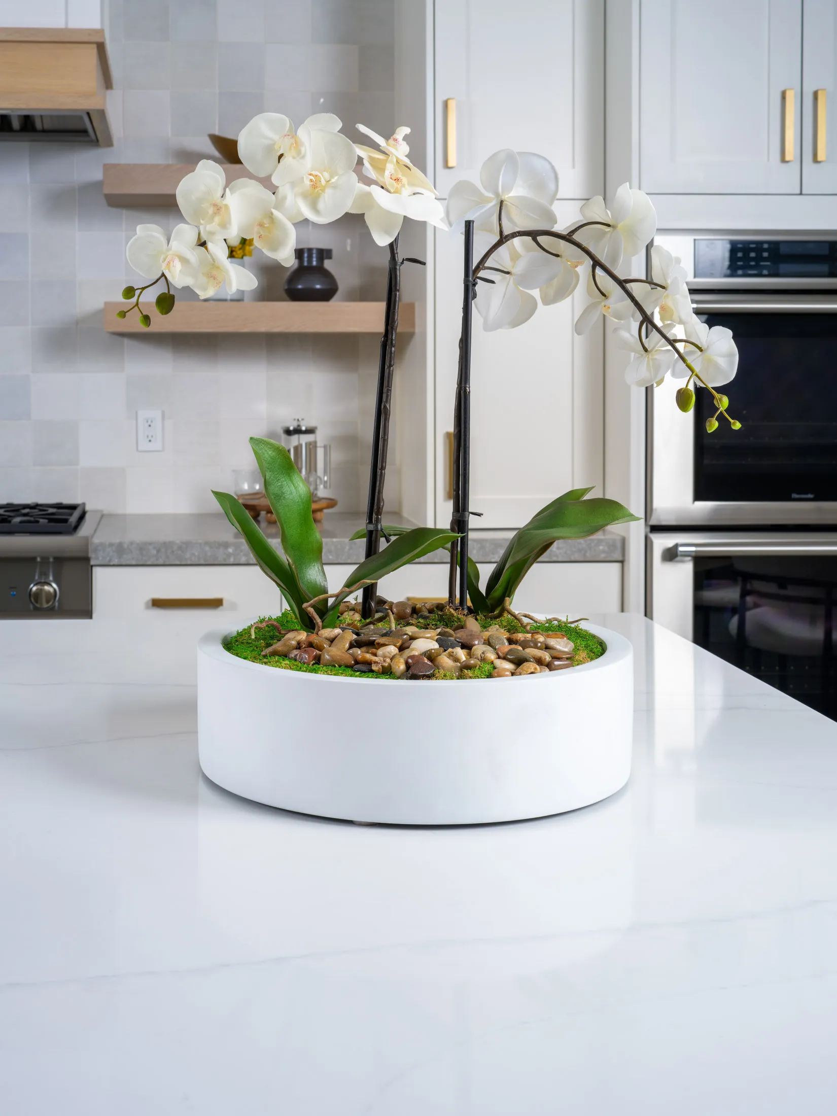 White orchids in a sleek white round planter with moss and pebbles, staged on a luxurious marble kitchen countertop.
