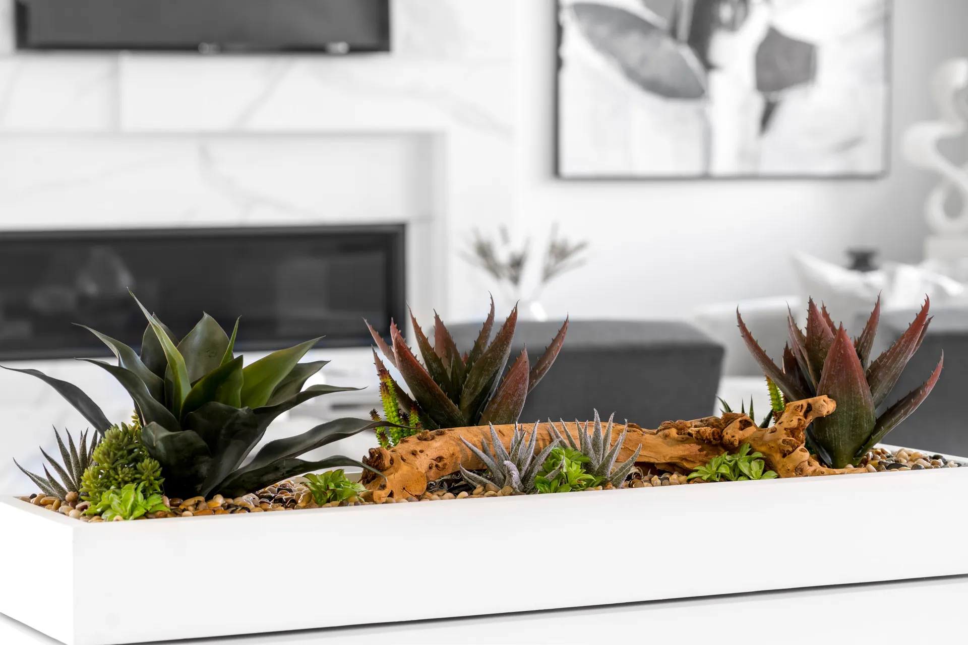 A decorative planter with various succulents and plants. The arrangement features a mix of textures and colors, creating a visually appealing and modern design.